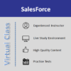 SalesForce: Virtual Live Class