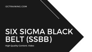 Six Sigma Black Belt (SSBB) online course I2ctraining